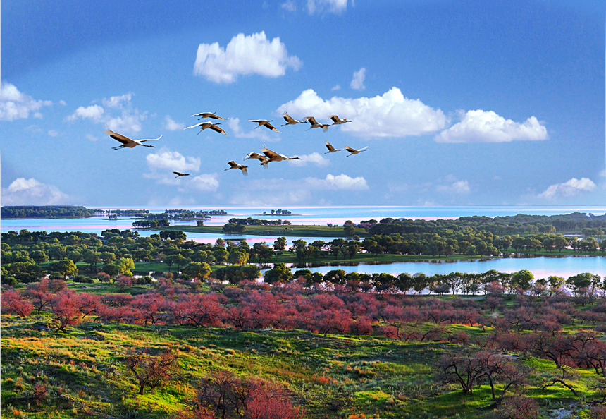 佛山到白城物流專(zhuān)線/佛山到白城貨運(yùn)公司(圖1) 1-200F5152203346.jpg